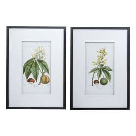Botanical Wall Art 2 Two-Piece Set