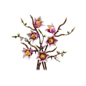 Botanicals Magnolia Branches Flower Décor Building Set for Adults
