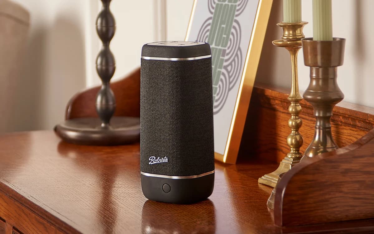 Roberts Reunion IPX7 Bluetooth Speaker | REUNIONBK