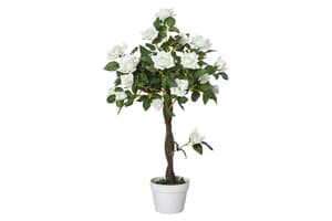 Artificial Camellia Plant | White/Green | 90 cm