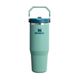 The Spring Green IceFlow™ Flip Straw 2.0 Tumbler 0.89L