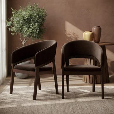 Chocolate brown - Wooden Upholstered Curved Dining Chairs - Owen