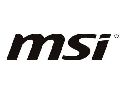 MSI Raider 16