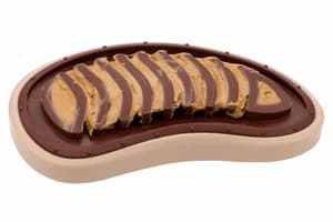 Petsafe BB-STEAK-SM-19 Busy Buddy Slab o’ Sirloin Treat Ring | Small/Medium
