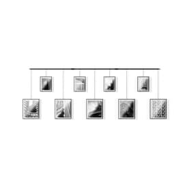 Exhibit Gallery Frames Set of Nine