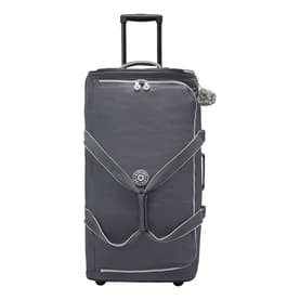 Teagan L Large Wheeled Luggage