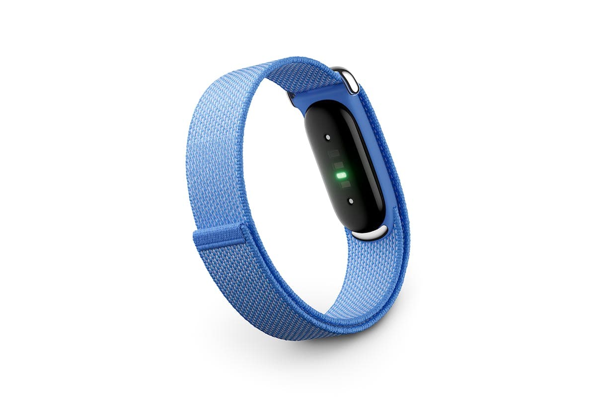 Google Fitbit Air | Lavender/Polished Silver