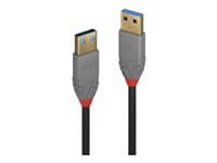 Lindy - Anthra Line - USB cable - USB Type A to USB Type A - 50 cm