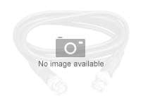 ALOGIC - 0.3M BLUE CAT6 NETWORK CABLE