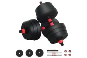 Vidaxl 2-in-1 Dumbbell Set