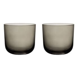 Like Smoke Water Glass, Set of Two