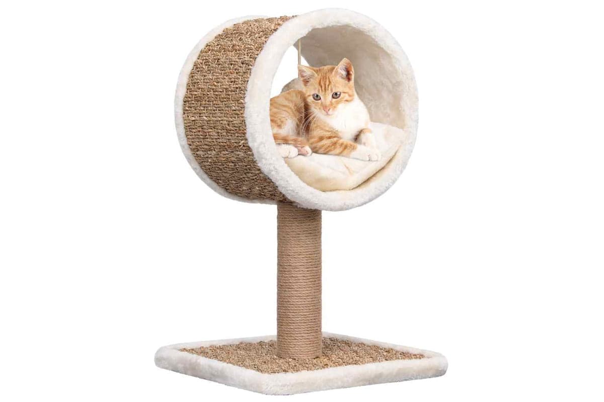 Vidaxl Cat Tree With Top Tunnel And Toy 56 Cm Seagrass