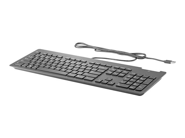 HP Business Slim