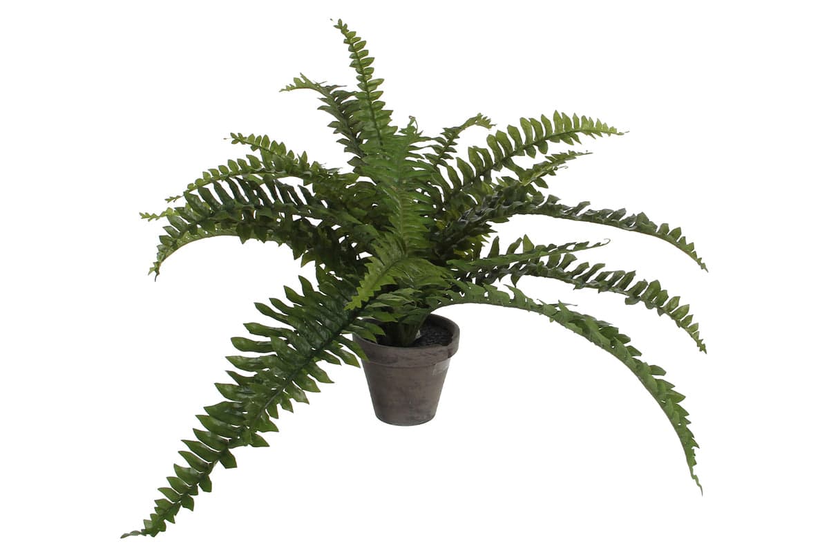 Artificial Boston Fern Green with Pot | 35 cm