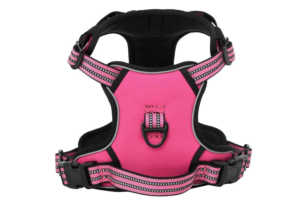 Vidaxl Dog Harness With Lead Collar Adjustable Pink S