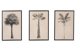 Palm Tree Print Canvases | Natural/Black | 40 x 60 cm | Set of 3