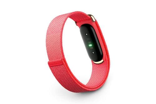 GOOGLE FITBIT AIR - BERRY