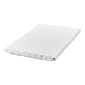 300 Thread Count Egyptian Cotton Flat Sheet White