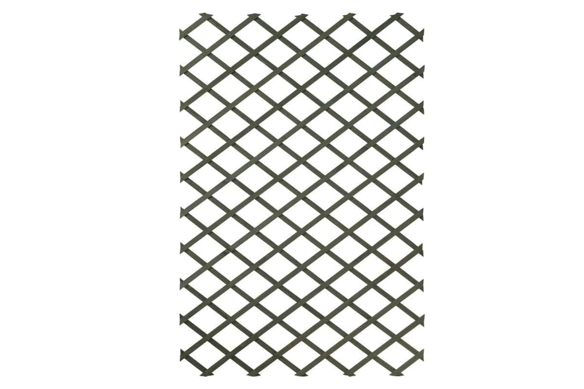 Nature 276935 2 Pcs Garden Trellises 100x200 Cm Wood Green