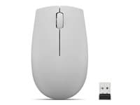 LENOVO - 300 Wireless Compact - mouse - with battery - 2.4 GHz - arctic grey