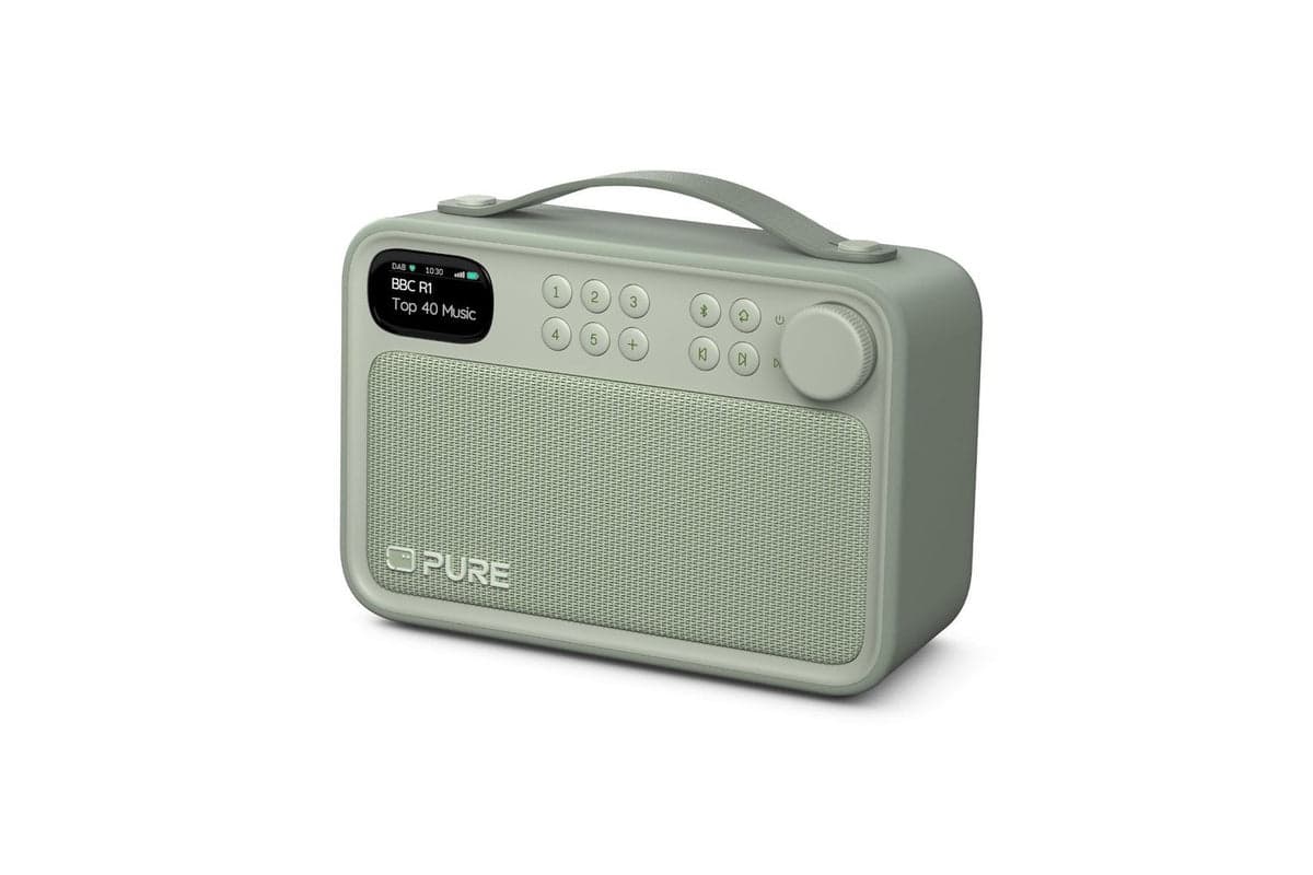 Pure Bloom Portable DAB+ and FM Radio | 255786 | Sage