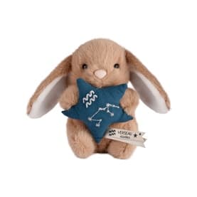 Astro Aquarius Bunny 14cm