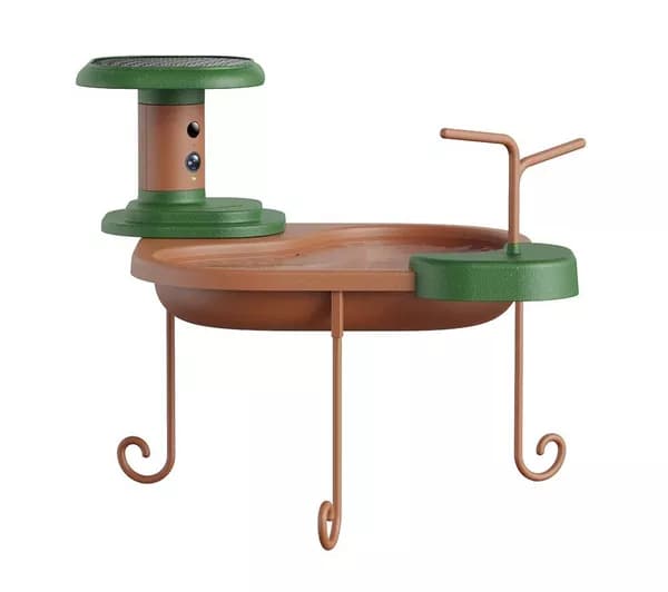 BIRDFY Jolly V Lite Smart Bird Bath with Camera & Solar Panel