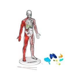 Discovery™ Mindblown 3D Human Anatomy Puzzle & Activity Set
