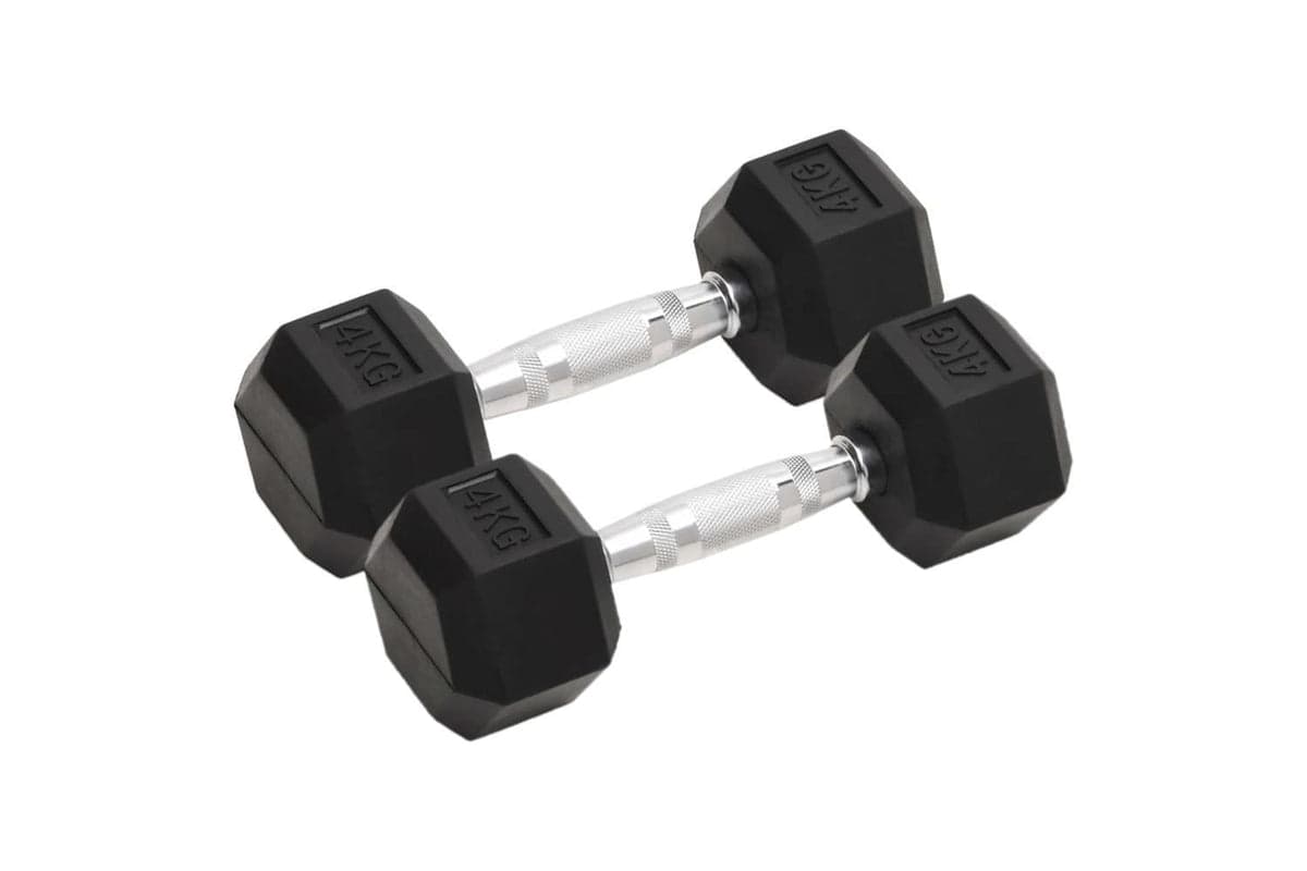 Vidaxl Dumbbells 2 Pcs 8 Kg Total Cast Iron