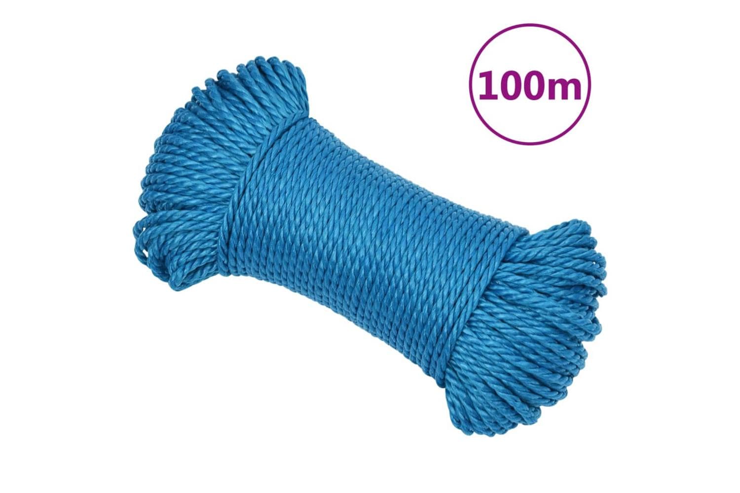 vidaXL 152969 Work Rope Blue 8mm 100 M Polypropylene