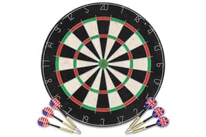 Vidaxl Professional Dart Set