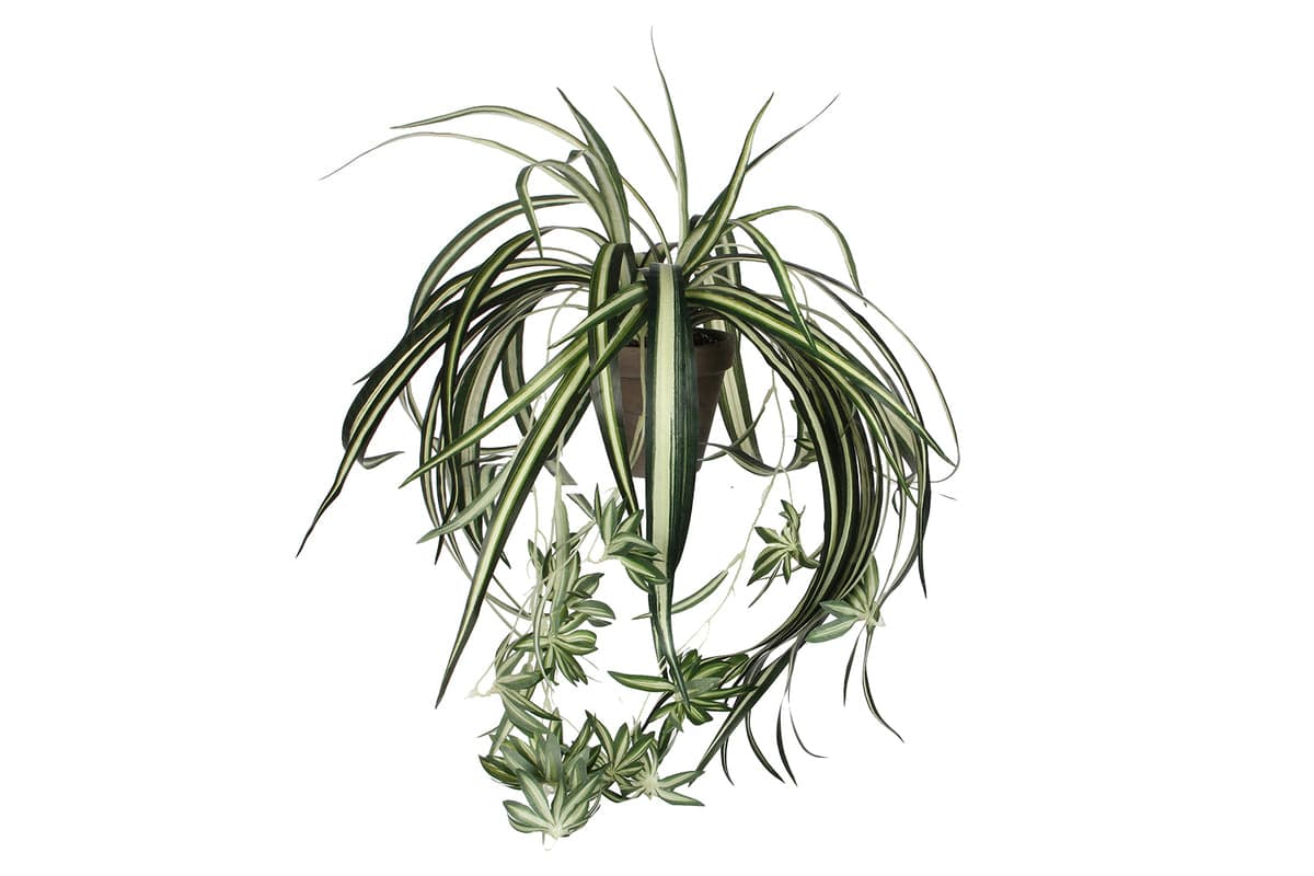Artificial Chlorophytum Green in Pot | 45 cm