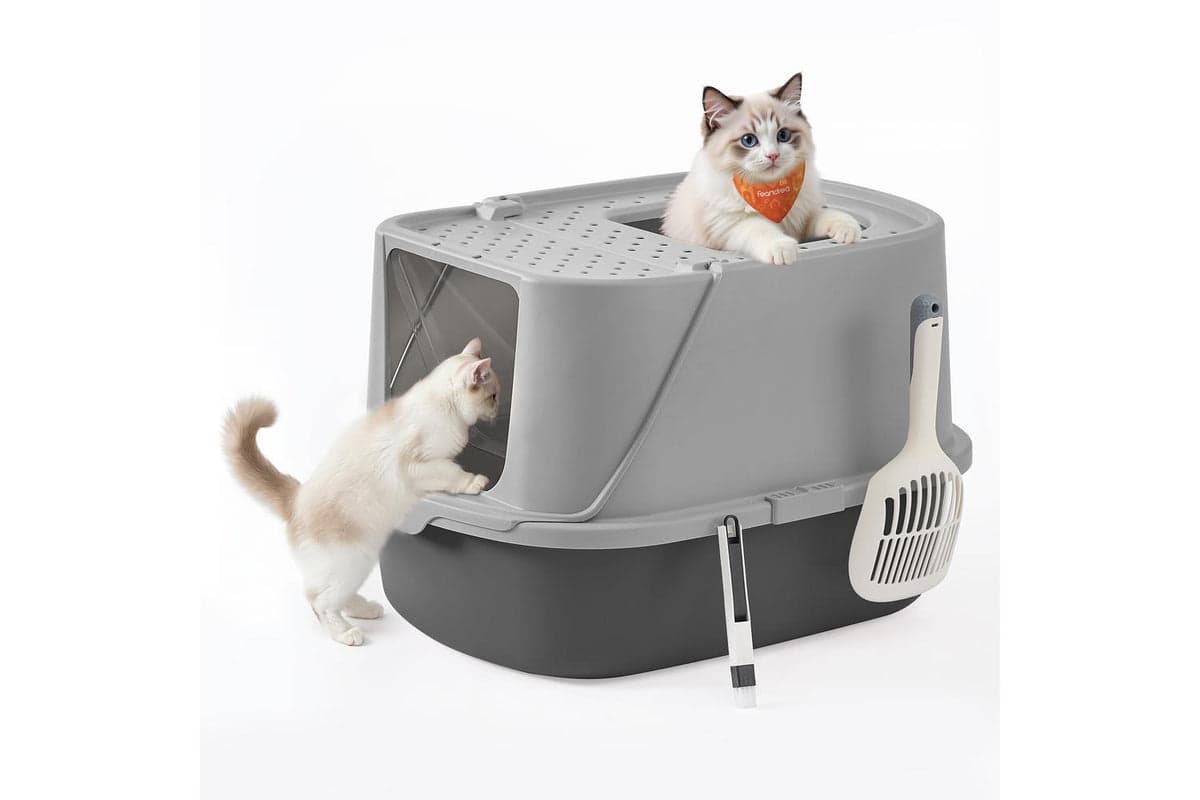 Feandrea Cat Litter Box | Cat Litter Box | Plastic | Large