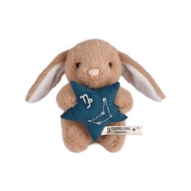 Astro Capricorn Bunny 14cm