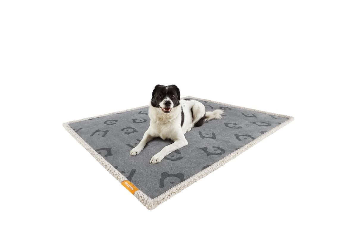 Feandrea Waterproof Blanket For Dogs | Pet Blanket | Sherpa And Flannel | 127 X 101 Cm