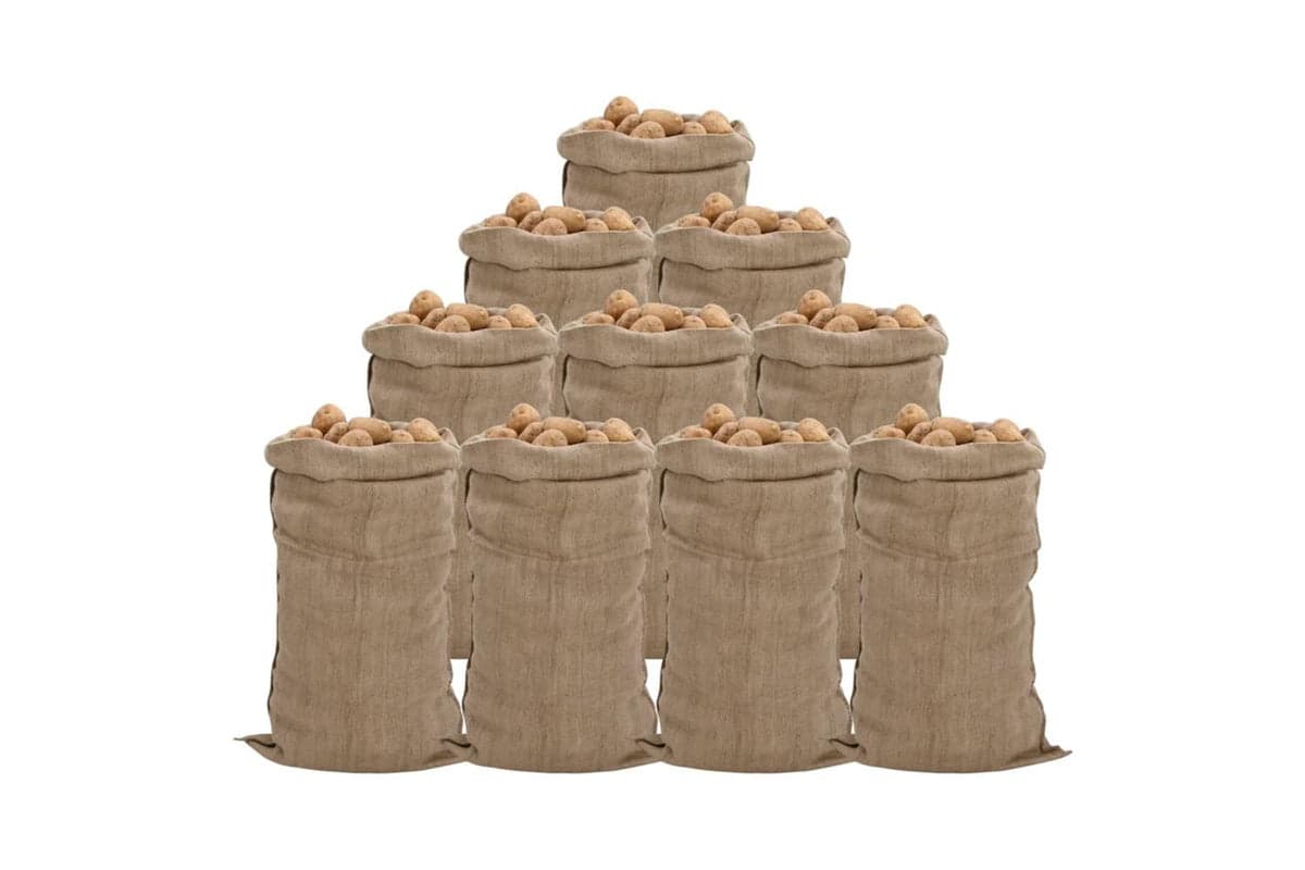 vidaXL 155786 Jute Sacks 10 Pcs 65x135cm 100% Jute 340 Gsm