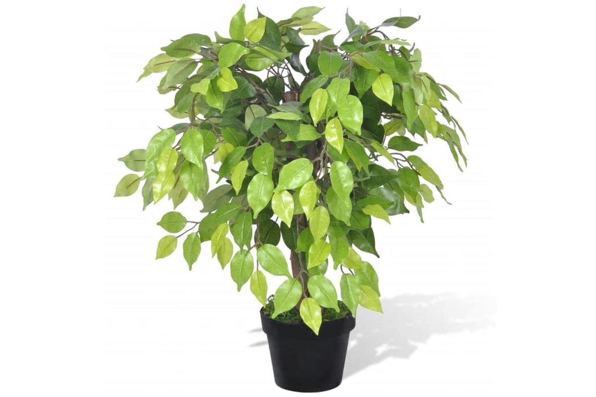 Artificial Dwarf Ficus With Pot 60 Cm