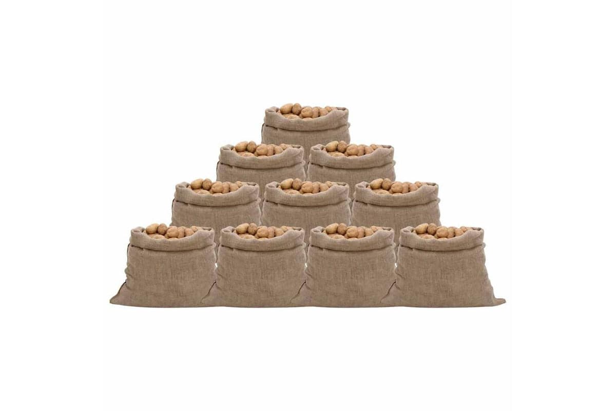 vidaXL 155782 Jute Sacks 10 Pcs 100x110cm 100% Jute 220 Gsm