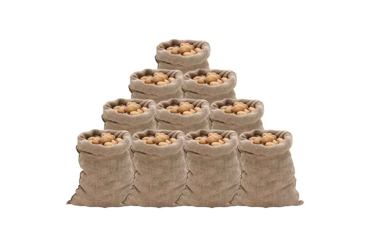 vidaXL 155778 Jute Sacks 10 Pcs 60x105cm 100% Jute 220 Gsm