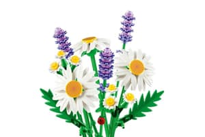 Lego Botanicals Daisies Building Toys Set