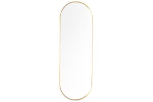 Modena Pill Shape Wall Mirror | Gold | 40 x 120 cm