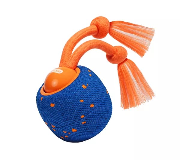 CHEERBLE Wicked Ball Rolly Pet Toy - Blue & Orange