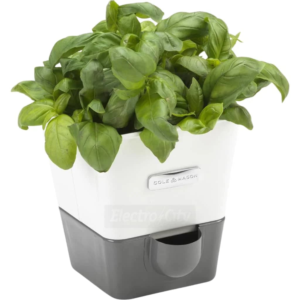 Cole & Mason Burwell Self-Watering Single Herb Planter | White/Grey