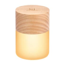 Lemelia Mini Light