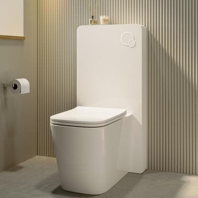 Albi Back to Wall Toilet with Cabinet