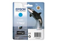 EPSON - T7602 - cyan - original - ink cartridge
