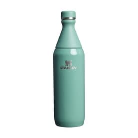The Spring Green Gloss All Day Slim Bottle 0.59L